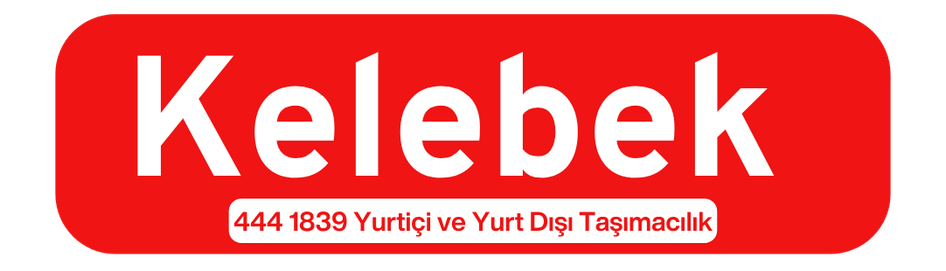 Büyükçekmece Evden Eve Nakliyat